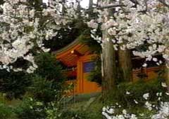 八咫烏神社
