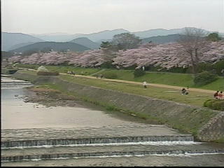 賀茂川と京都府立植物園