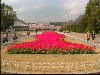 花壇と温室