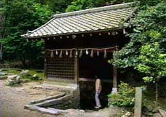 桐原水