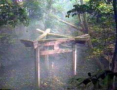 三柱鳥居（蚕の社）