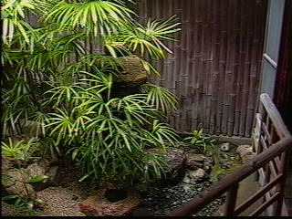坪庭