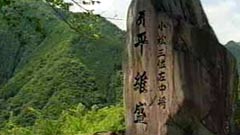 維盛塚