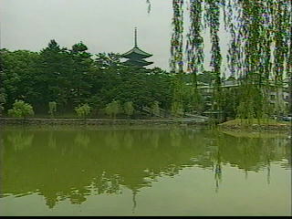 猿沢池