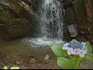 鴬の滝