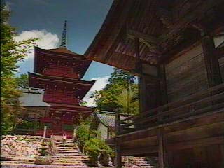 本殿と三重塔