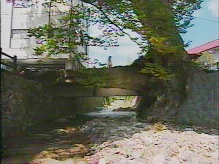木の根橋