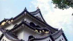 彦根城