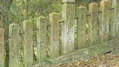 力士寄進の玉垣(野見宿禰神社)