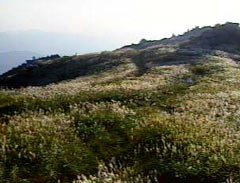 生石高原