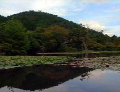 鏡容池(龍安寺)
