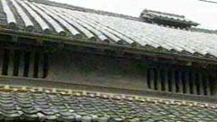 虫籠窓と越屋根