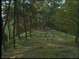 六呂瀬山１号墳(史跡）