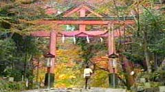 山王鳥居