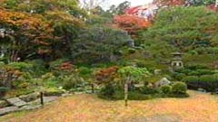 庭園(旧竹林院)