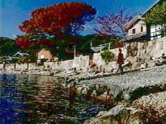 海津浜