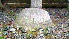 胞衣塚