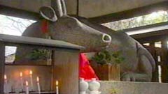 神牛社