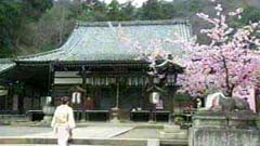 本堂