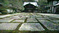 庫裡大玄関