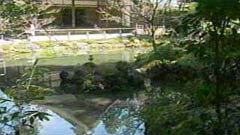 曹源池