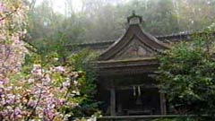 社殿