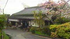 花錦
