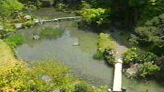 庭園