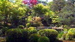 庭園