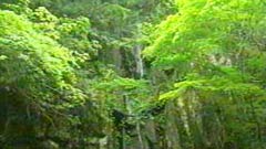 雨降滝