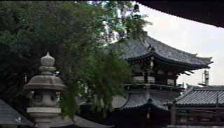 納骨堂