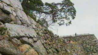 小浜城跡