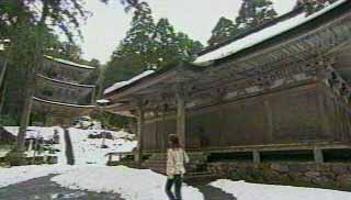 本堂と三重塔