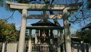 三鍋王子