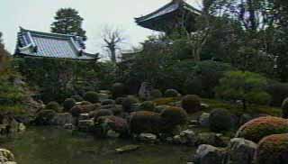 庭園