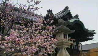 菅原天満宮