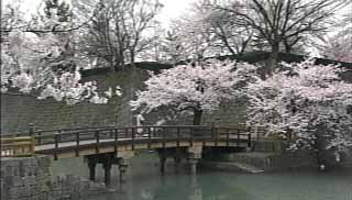 福井城址