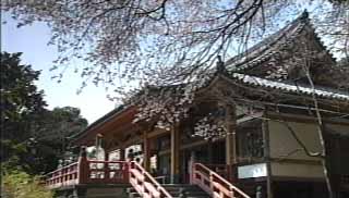 大崎寺