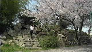 大溝城跡