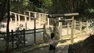 神宮御料鰒調製所