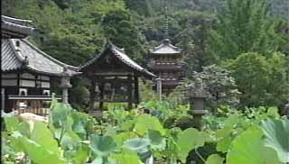 三重塔
