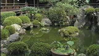 古池