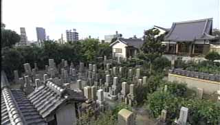 珊瑚寺