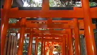 茶臼山稲荷神社
