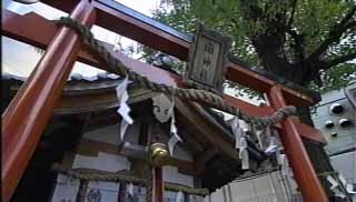 歯神社
