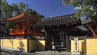 国分寺