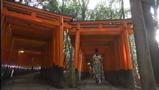 千本鳥居