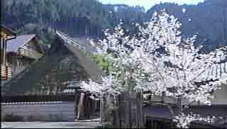山の家　やすけ