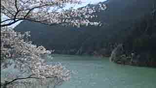 二川ダム湖