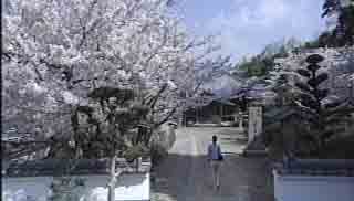 歓喜寺